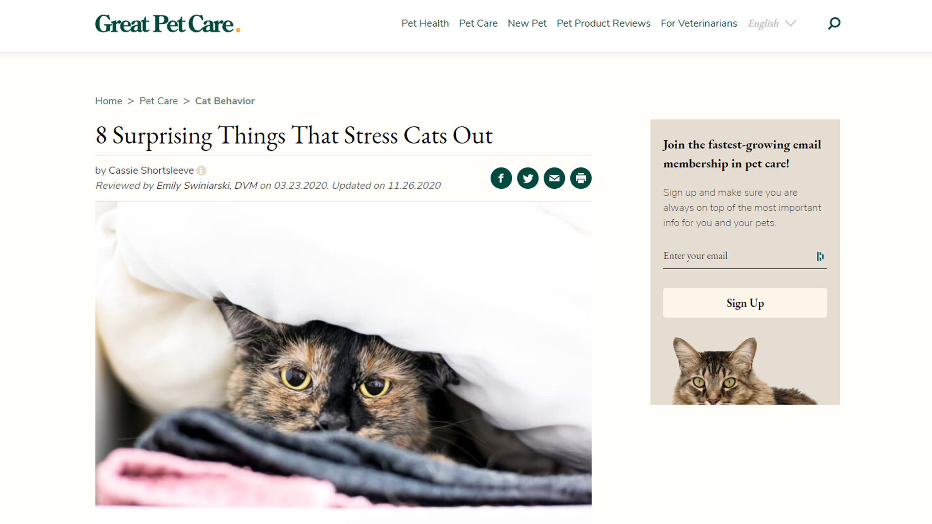 GreatPetCare GreatPetCare