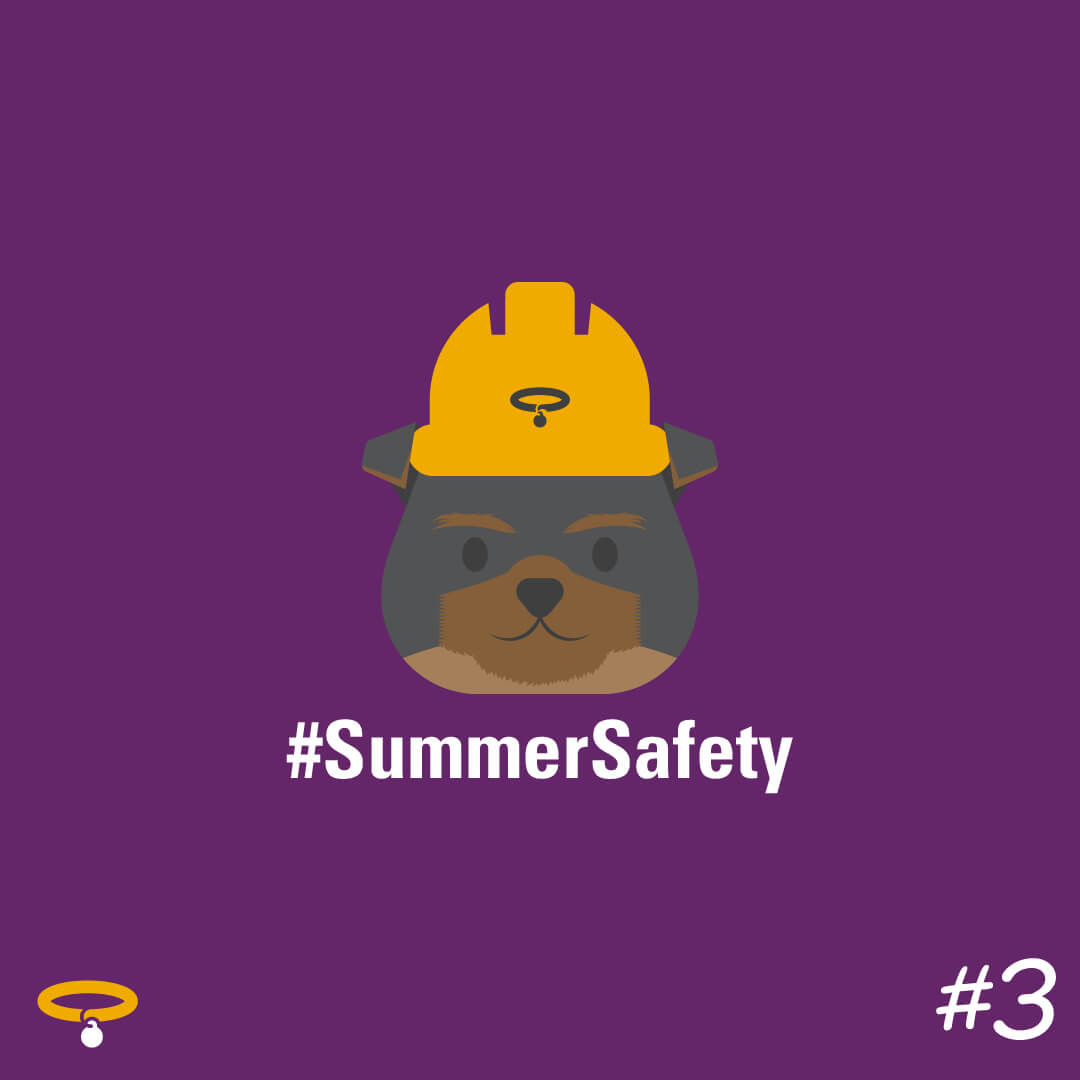 Summer-Safety-3_Square-1 Summer Safety Tips